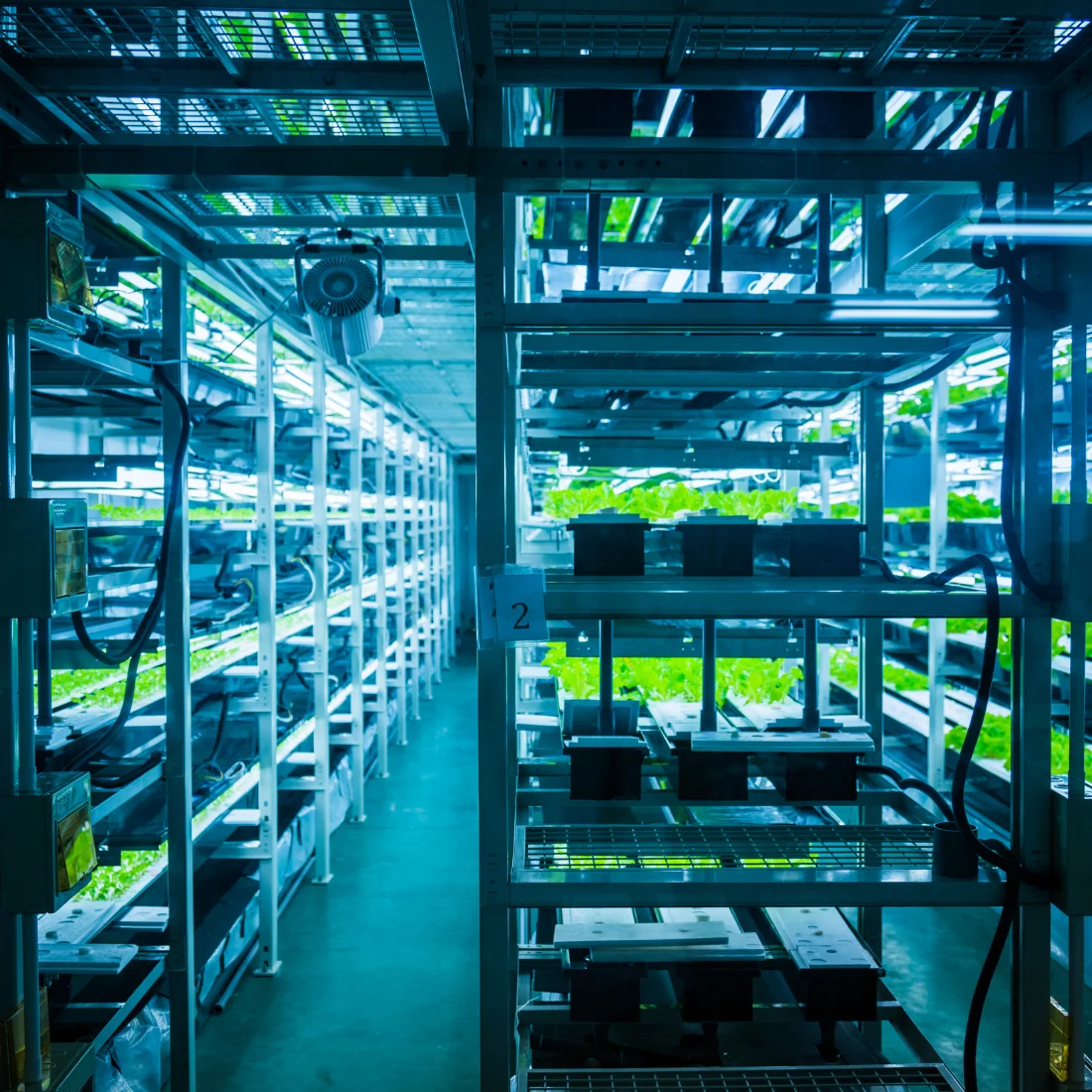 Hydroponics Consulting